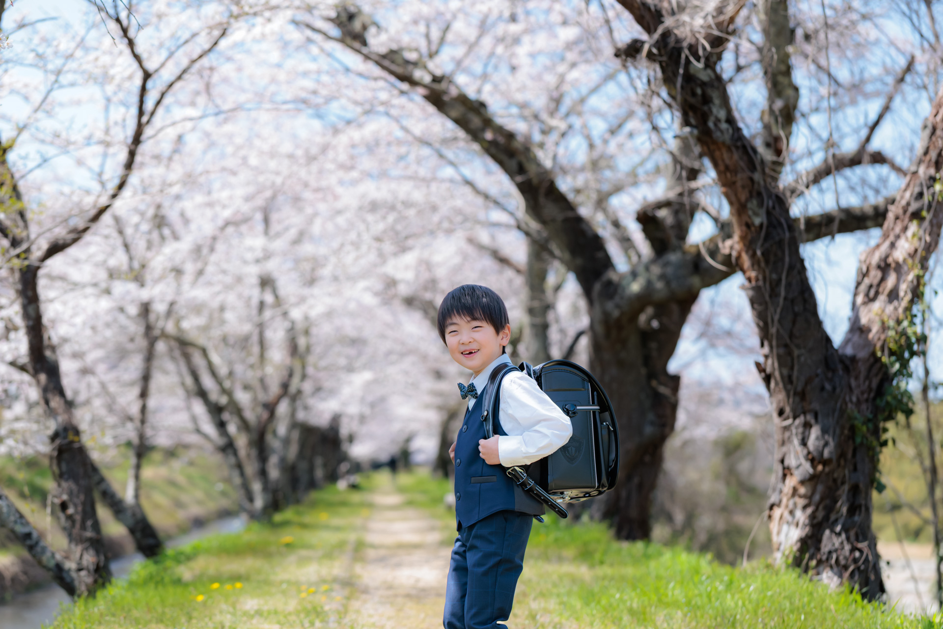 滋賀県米原市 桜並木での入学記念ロケーションフォト