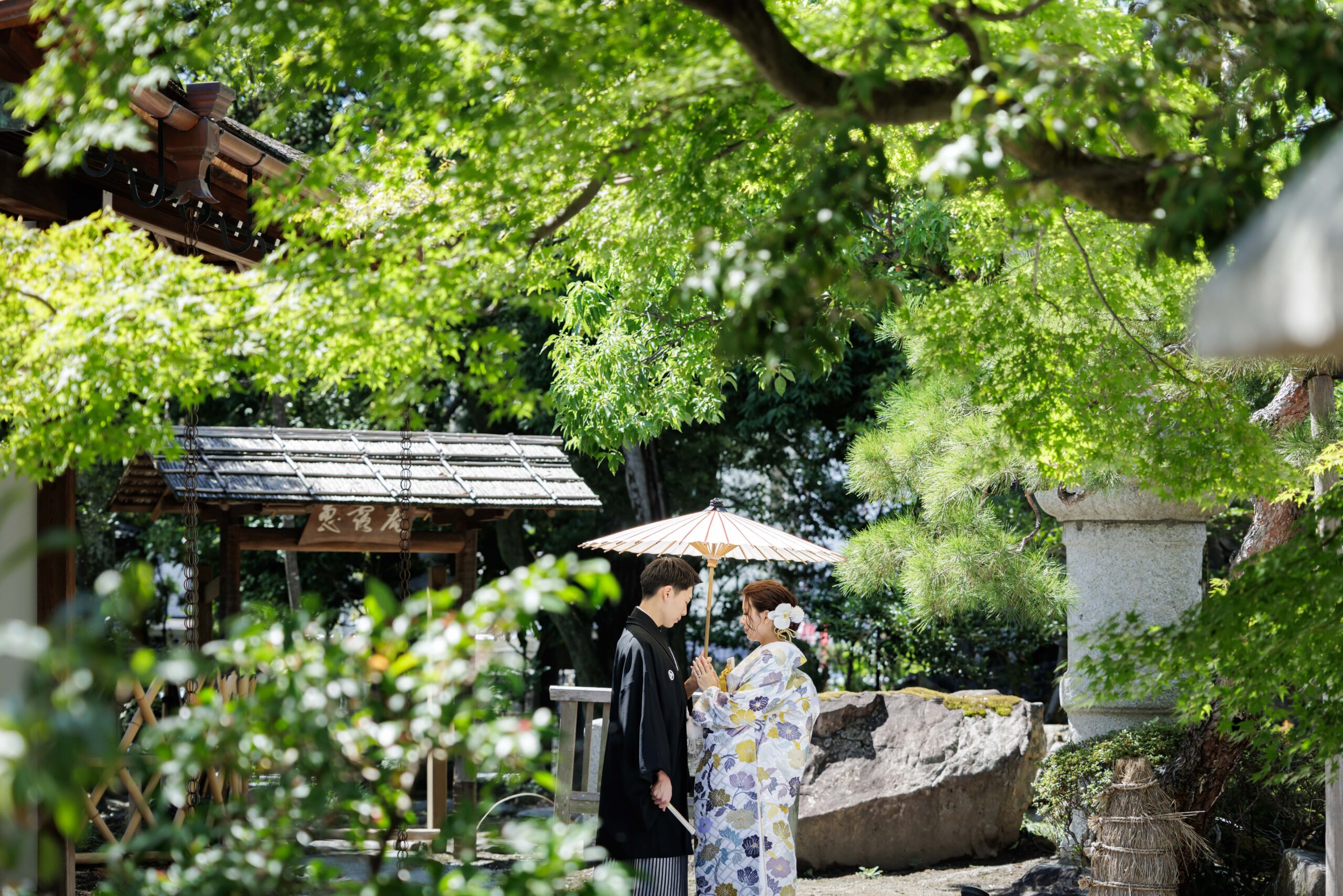 秋の紅葉シーズン先行確約